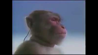 Monke without the y cause it doesn’t matter