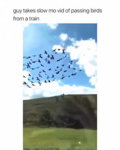 Nature is so wonderful