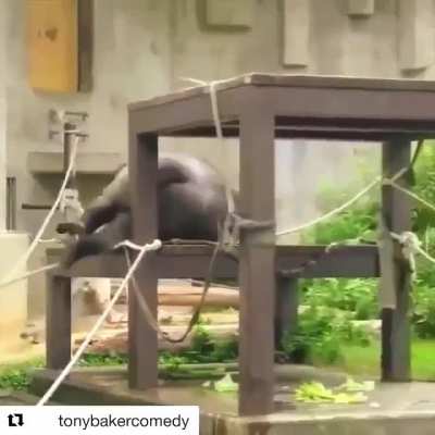 Это удивительно быстро движущаяся вещь, которая может разорвать тебя на части.