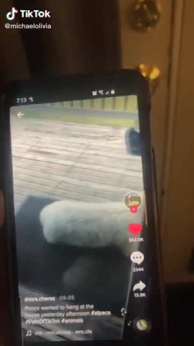 Watch until the end, promise it won't dissapoint