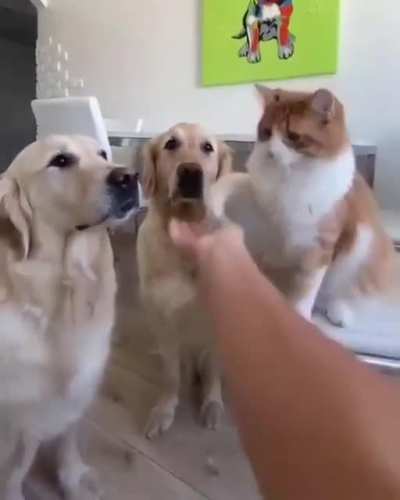 Friendly team.