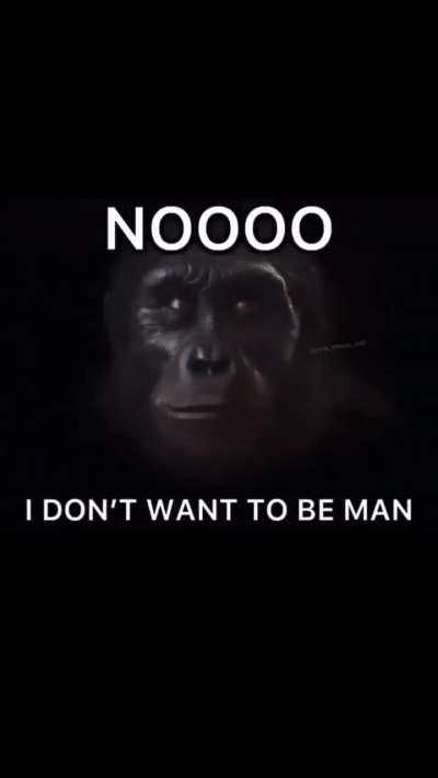 NOOO