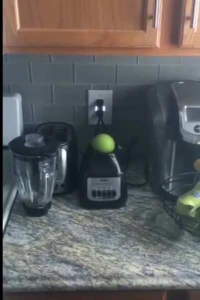 apples amirite chat