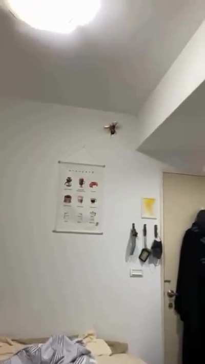 Aaaaaaaaaaaaaah