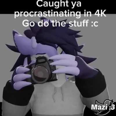 Furry_irl
