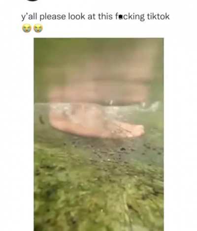 He went through all that trouble