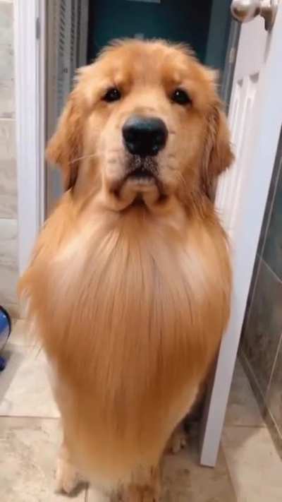 Majestic floooooof