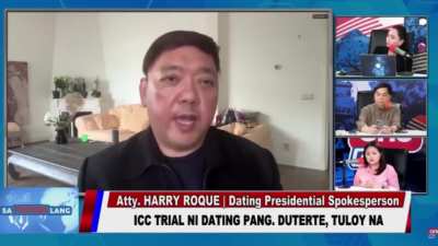Harry Roque 