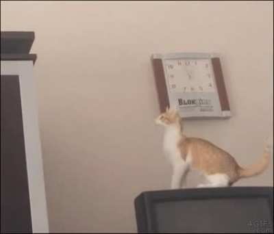 I can do this…I can do this…
