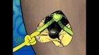 A Tribute to r/ShitPostCrusaders: A sub that has no weaknesses