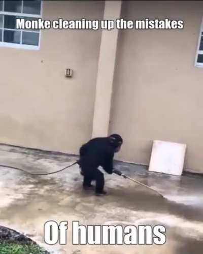 monke clean