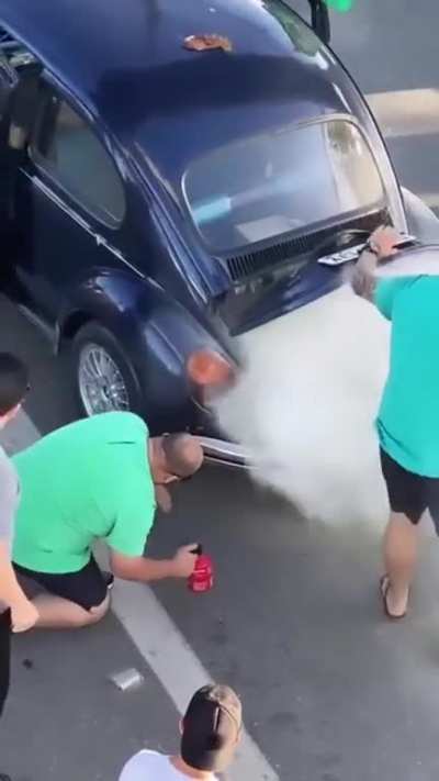 Help the beetle
