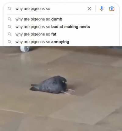 Hello darkness my old friend