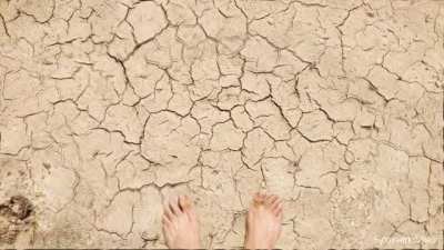 Watch My Feet (On Psychedelics)