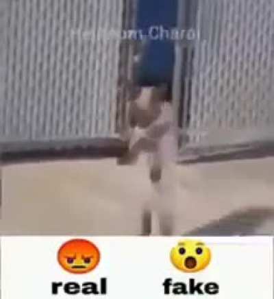 real or fake ????