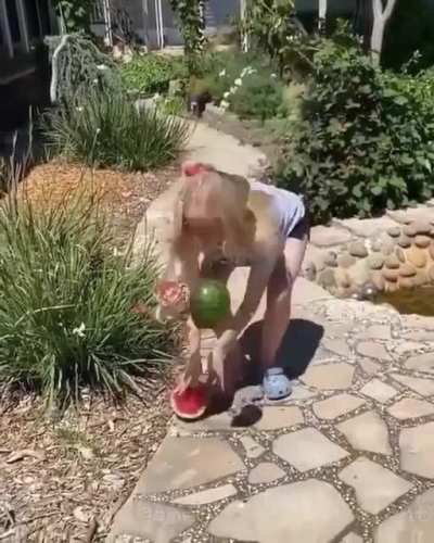Fruit Ninja 2: The Fruit Fights Back
