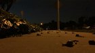 Snail traffic
