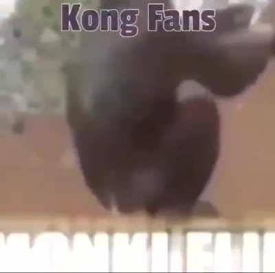 mamaco