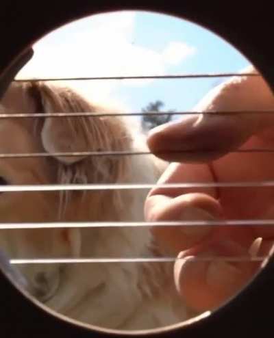 too soft, too cute
