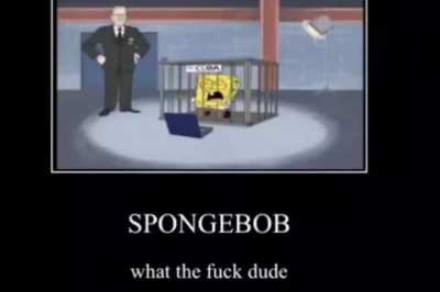spogpop