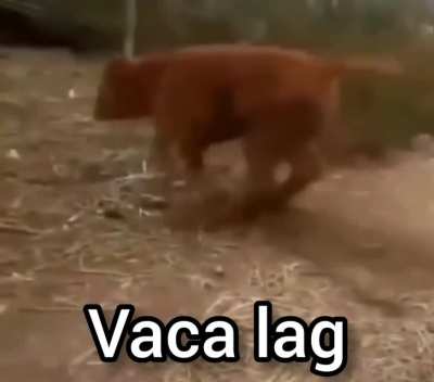 Mucho lag