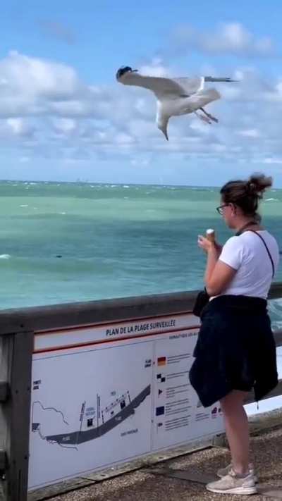 To snatched the ice cream 