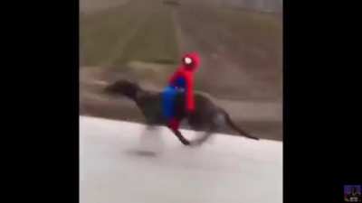 go fast