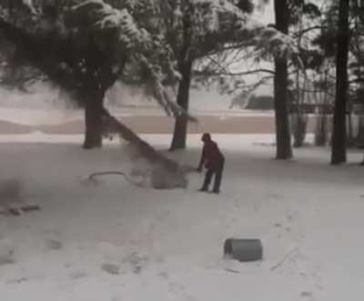 WCGW trying to play with a branch