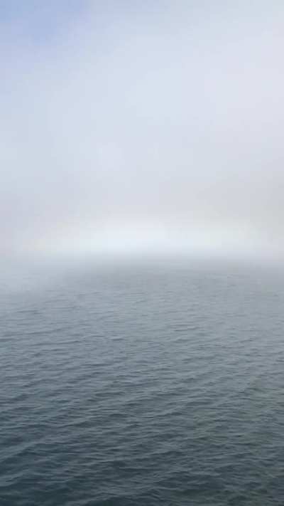 Norway sea is the Limbo (OC)