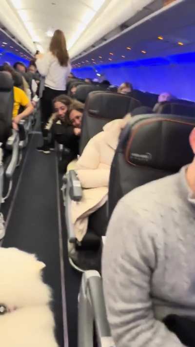 Samoyed Dog Makes Friends on a Plane