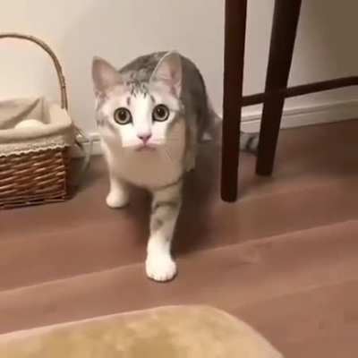 Hello, over here!