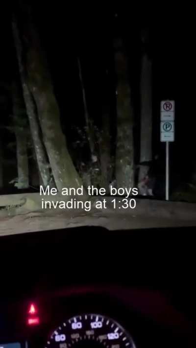 Credit to @alexminimart on TikTok for the original video