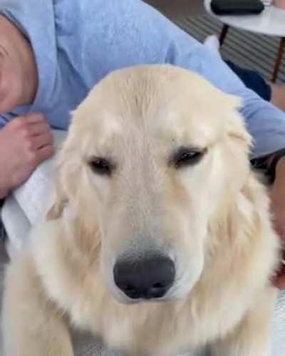 Somebody’s enjoying their head massage.