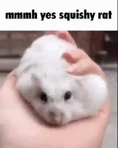 What a Satisfying gif