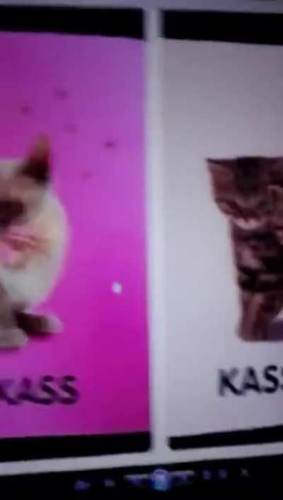 minä👅😺irl