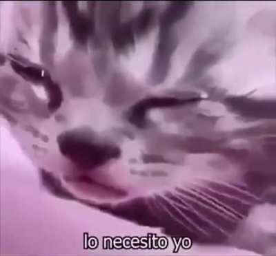 sad