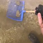 IT'S WET DUDE