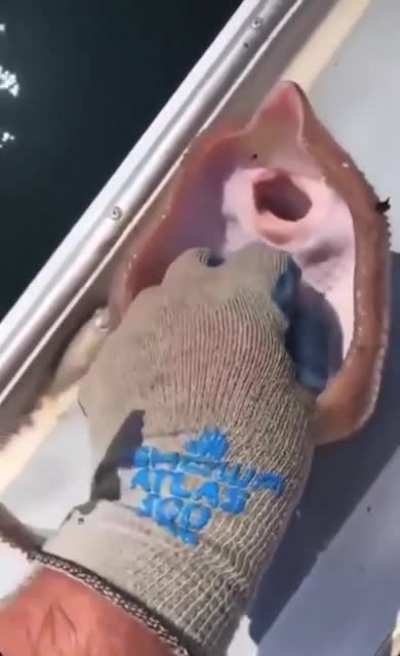 Lol