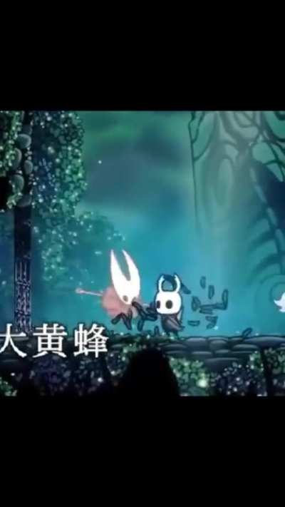 Rage for silksong 
