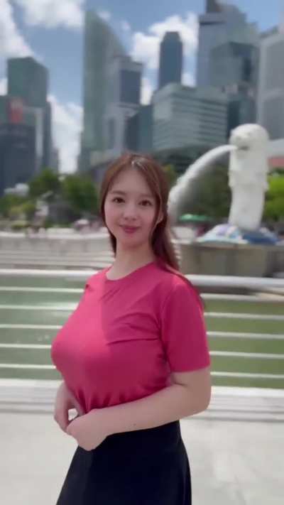 Shirt filling