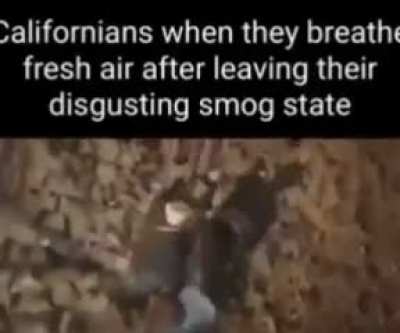Ok Vladimir here’s your based shit