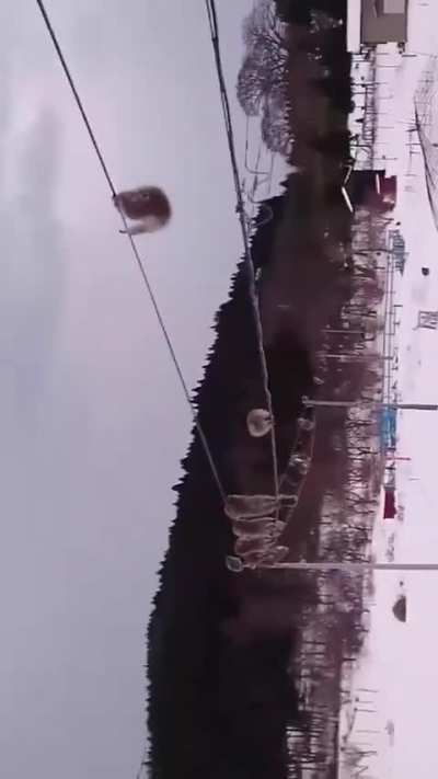 🔥 After a snowfall, monkeys use the phone lines to avoid walking in the snow in Aomori Prefecture, Japan.