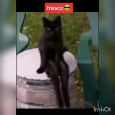 FELIZ 🙃