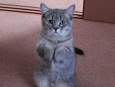 Cute