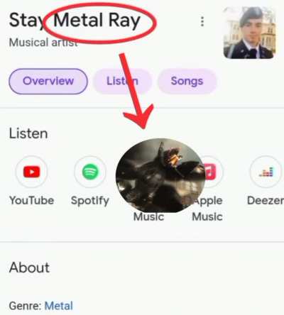 metal ray