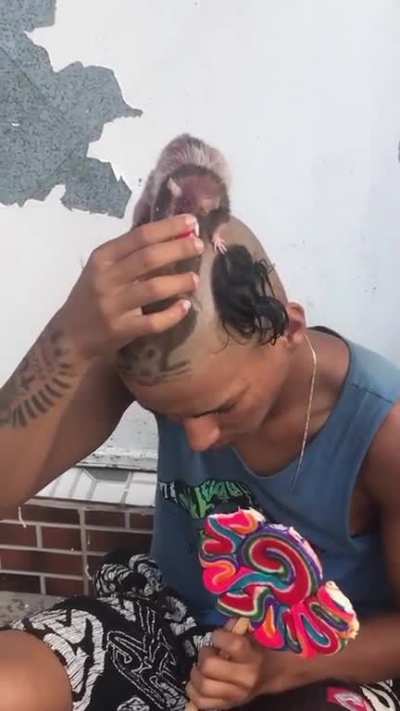 RATOOOOO