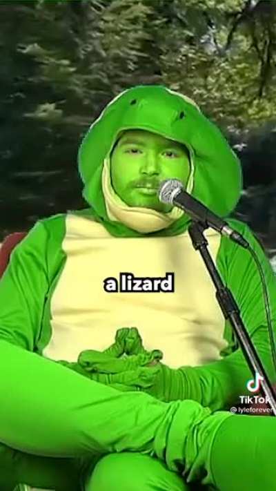 Where do lizards go