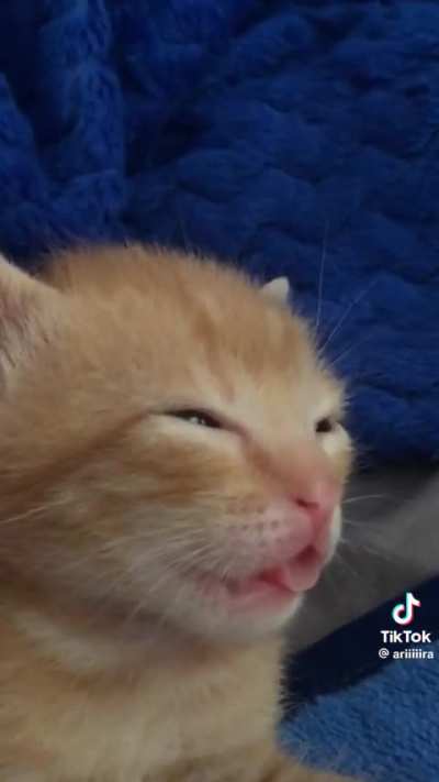 Cute