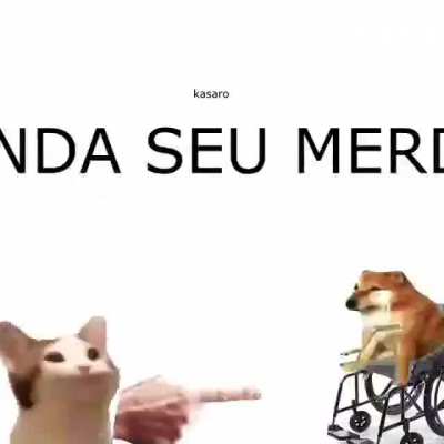 Ó ó