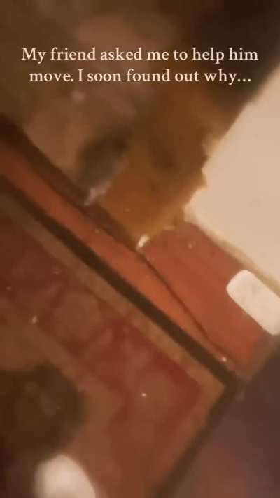 How do people live like this???